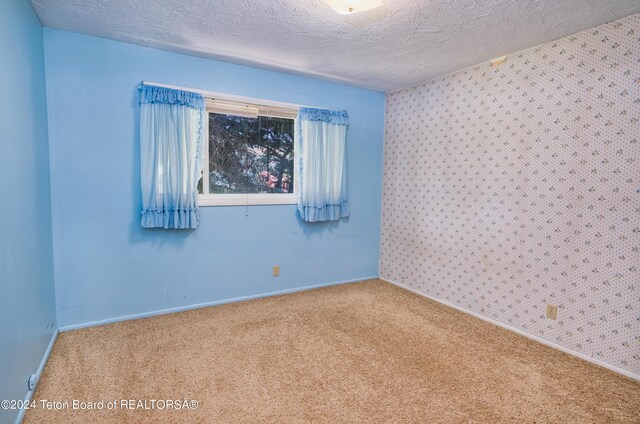 carpeted empty room with a textured ceiling