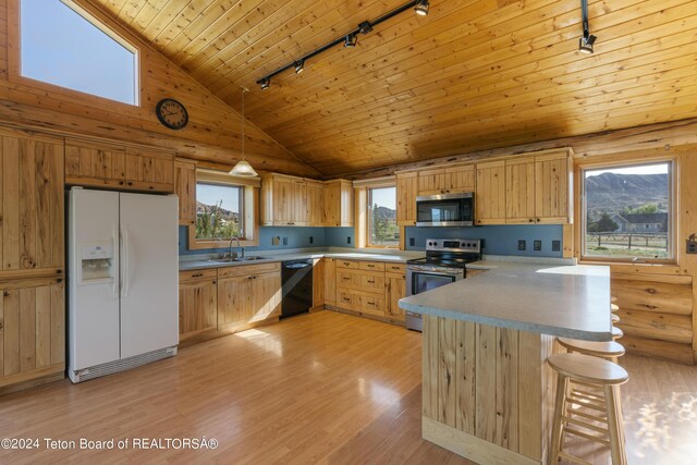 kitchen featuring stainless steel appliances, a healthy amount of sunlight, decorative light fixtures, and track lighting