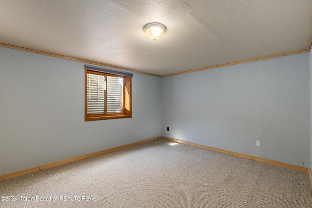 empty room featuring a textured ceiling and carpet floors