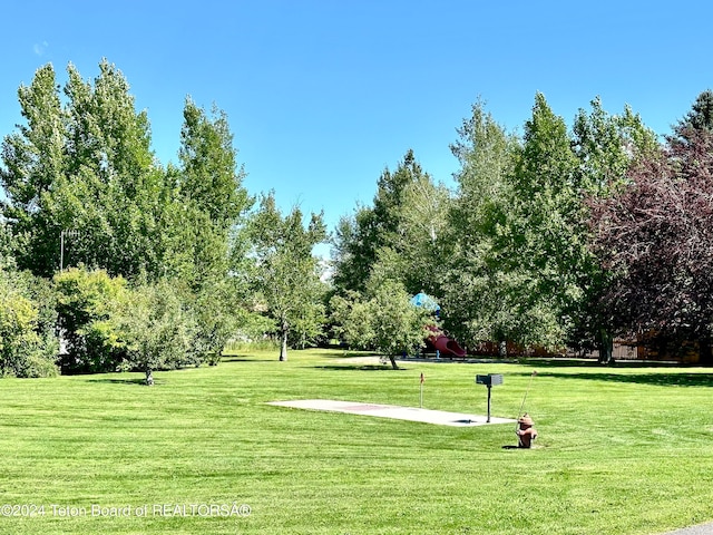 surrounding community featuring a yard