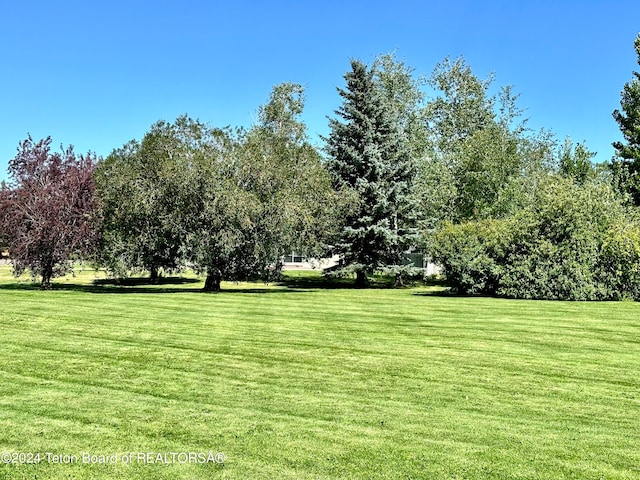 view of community featuring a yard