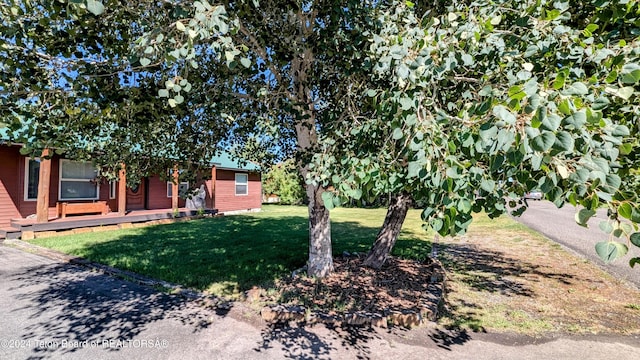 view of yard with a wooden deck