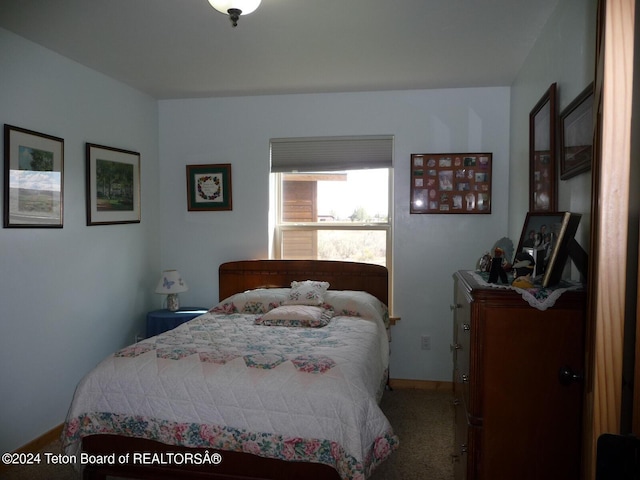 bedroom featuring carpet floors