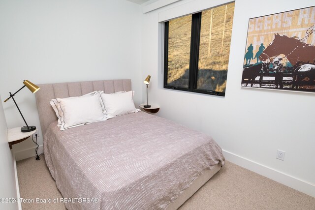 bedroom with baseboards and carpet