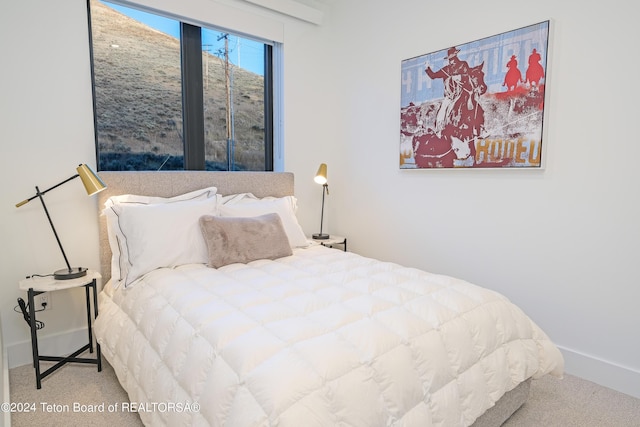 bedroom with carpet floors and baseboards