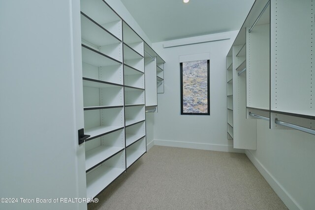 spacious closet with carpet floors