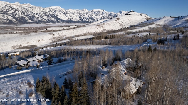 view of mountain feature