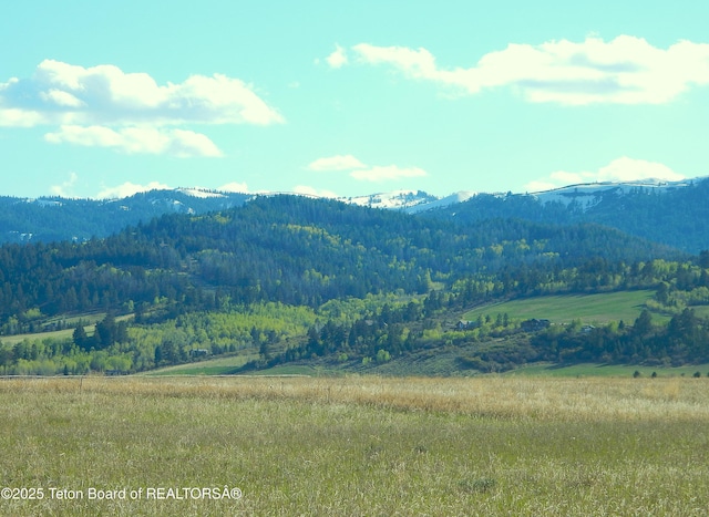 6135 W 1400 N, Driggs, ID 83442