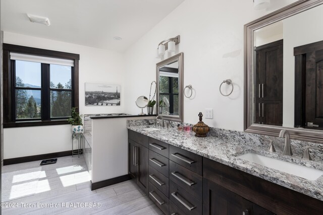 bathroom with wood-type flooring, vanity, lofted ceiling, and a wealth of natural light