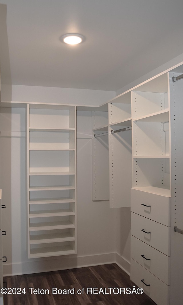 walk in closet featuring dark wood-type flooring