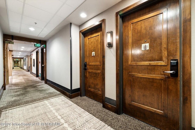 hallway featuring a drop ceiling and carpet floors