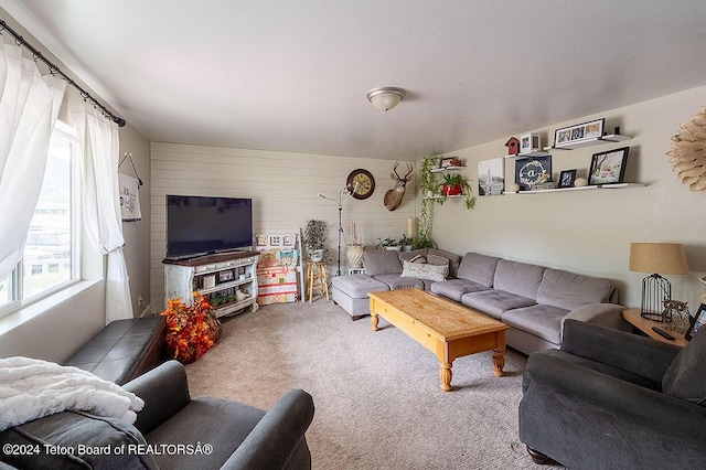 view of carpeted living room