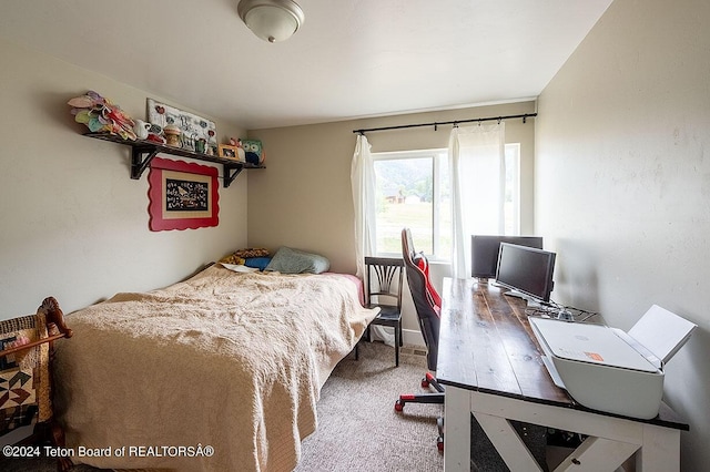 bedroom with carpet flooring