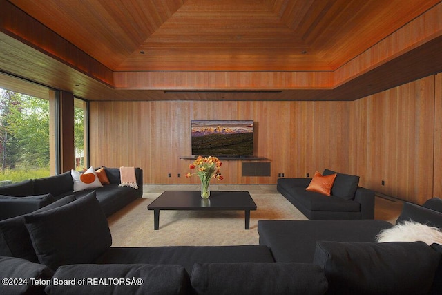 1605 N Amangani Dr, Jackson, WY 83001 - living area featuring a tray ceiling and wood walls