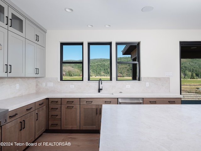 kitchen featuring stainless steel dishwasher, decorative backsplash, sink, and dark wood-type flooring