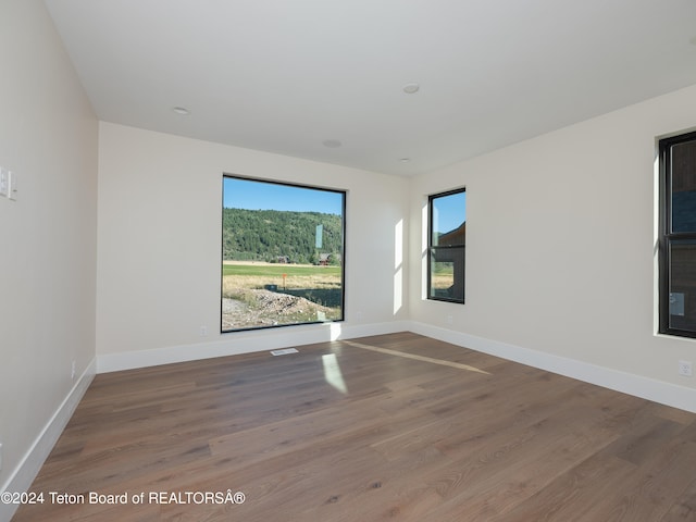 unfurnished room featuring wood-type flooring