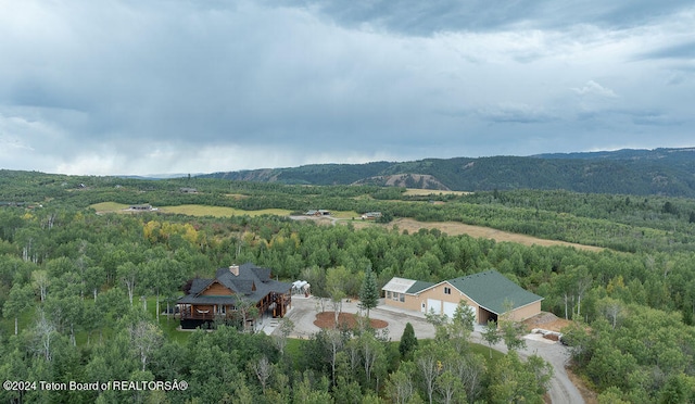 drone / aerial view featuring a mountain view