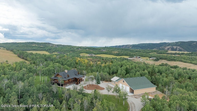 birds eye view of property featuring a mountain view