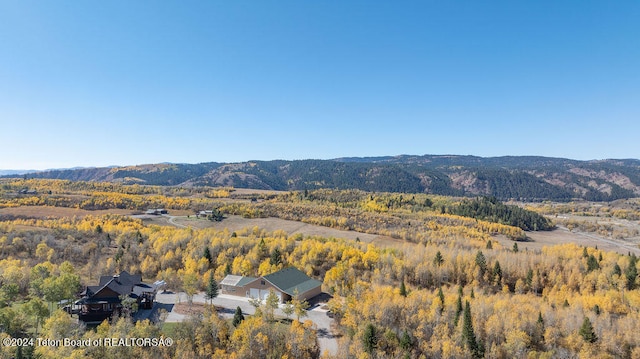 birds eye view of property featuring a mountain view