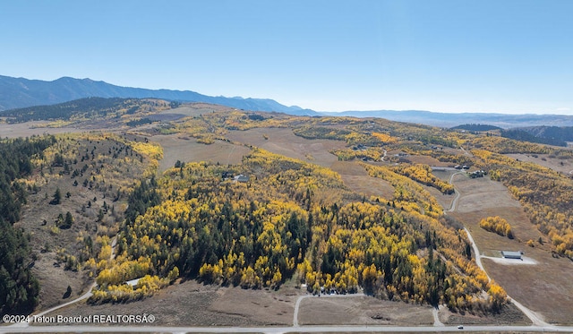 bird's eye view featuring a mountain view