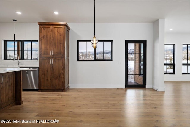 kitchen featuring hanging light fixtures, light hardwood / wood-style floors, and dishwasher