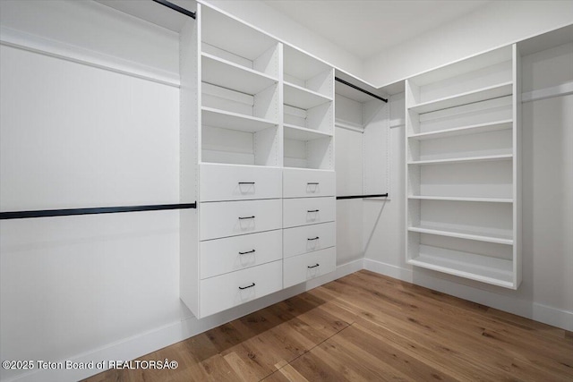 spacious closet with hardwood / wood-style floors