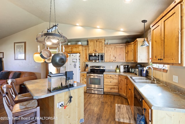 kitchen with stainless steel appliances, lofted ceiling, decorative light fixtures, dark hardwood / wood-style floors, and sink