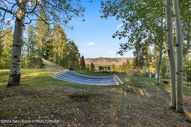 view of yard with a mountain view