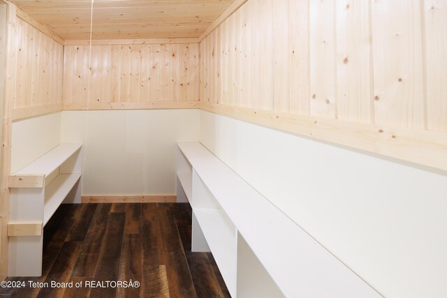 view of sauna / steam room with wood ceiling and hardwood / wood-style flooring