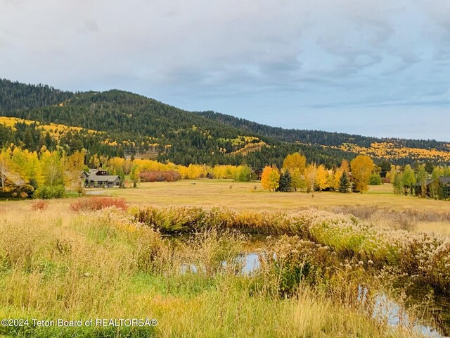 54 Warm Creek Ln, Victor, ID 83455 - photo 26