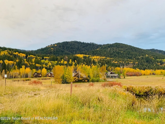 54 Warm Creek Ln, Victor, ID 83455 - photo 24