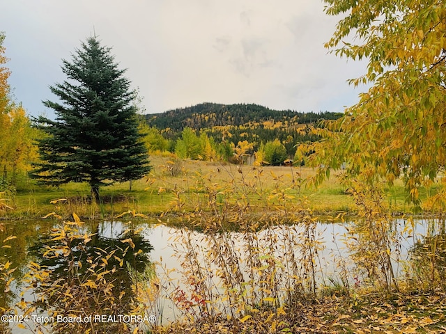 54 Warm Creek Ln, Victor, ID 83455 - photo 2