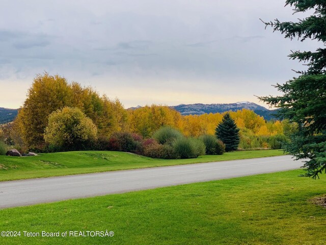 54 Warm Creek Ln, Victor, ID 83455 - photo 25