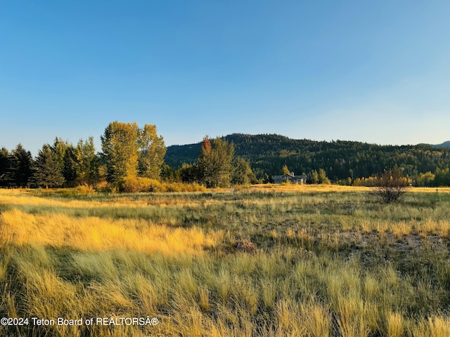 54 Warm Creek Ln, Victor, ID 83455 - photo 4