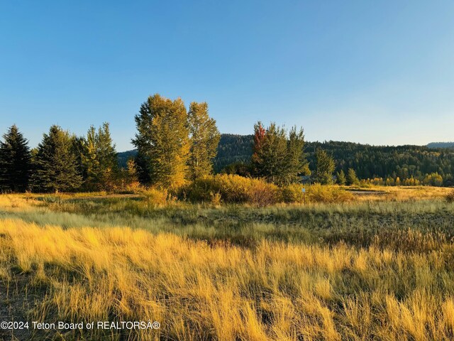 54 Warm Creek Ln, Victor, ID 83455 - photo 35