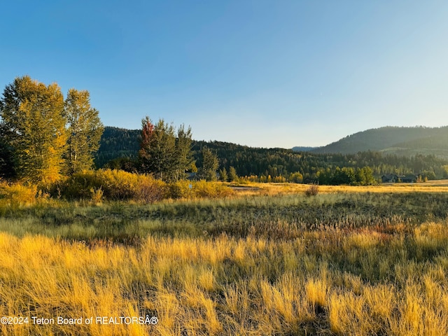 54 Warm Creek Ln, Victor ID, 83455 land for sale