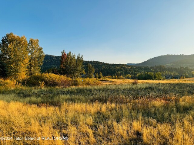 54 Warm Creek Ln, Victor, ID 83455 - photo 1
