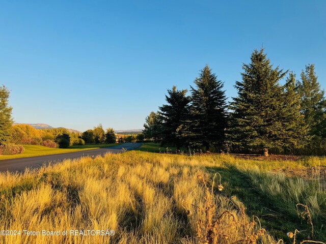 54 Warm Creek Ln, Victor, ID 83455 - photo 5