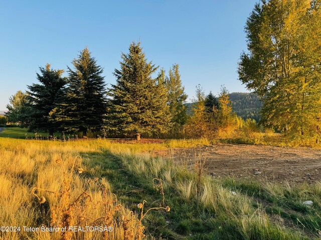 54 Warm Creek Ln, Victor, ID 83455 - photo 36