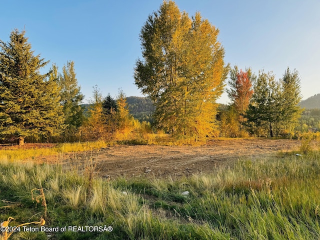 54 Warm Creek Ln, Victor, ID 83455 - photo 6