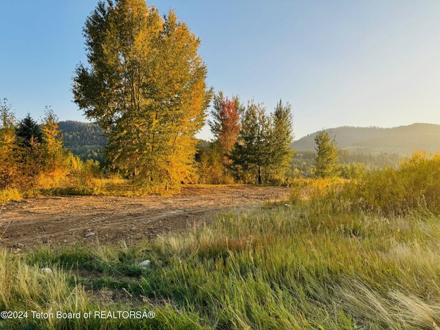 54 Warm Creek Ln, Victor, ID 83455 - photo 3
