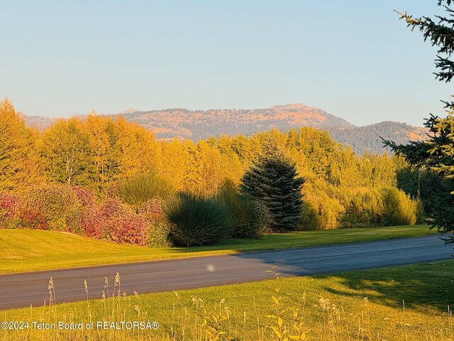 54 Warm Creek Ln, Victor, ID 83455 - photo 8