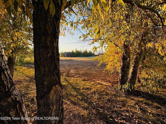 54 Warm Creek Ln, Victor, ID 83455 - photo 9