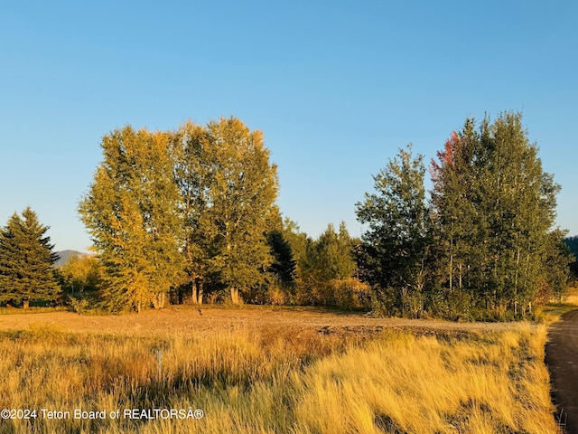 54 Warm Creek Ln, Victor, ID 83455 - photo 21