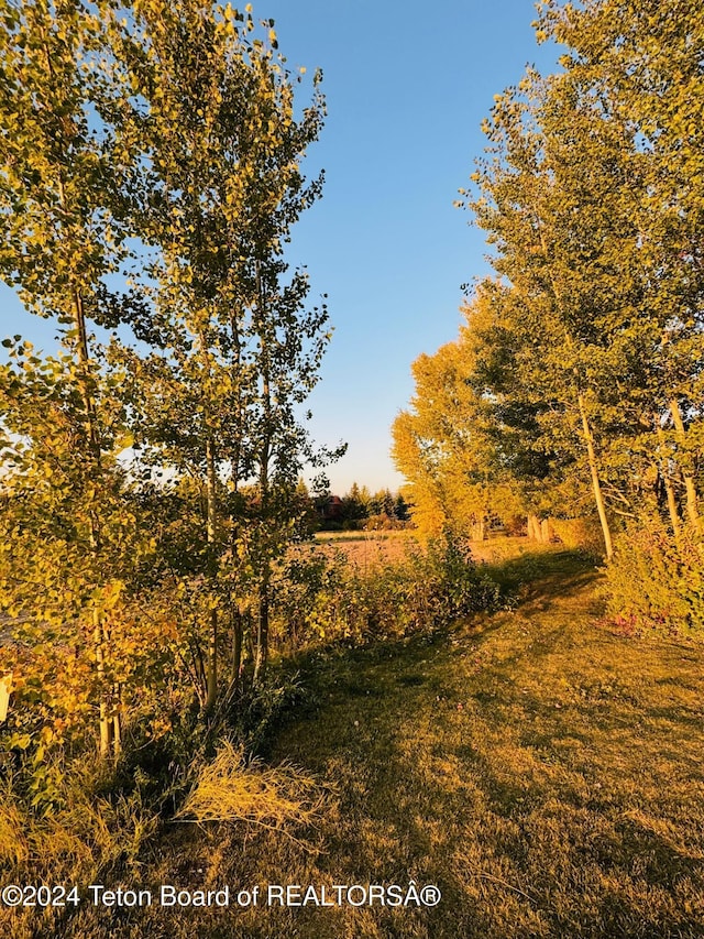 54 Warm Creek Ln, Victor, ID 83455 - photo 22