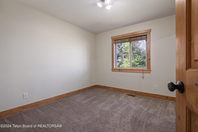 spare room with carpet flooring