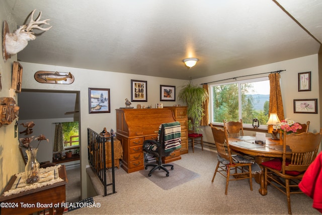 carpeted dining room featuring a textured ceiling