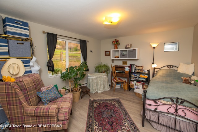 bedroom with light hardwood / wood-style flooring