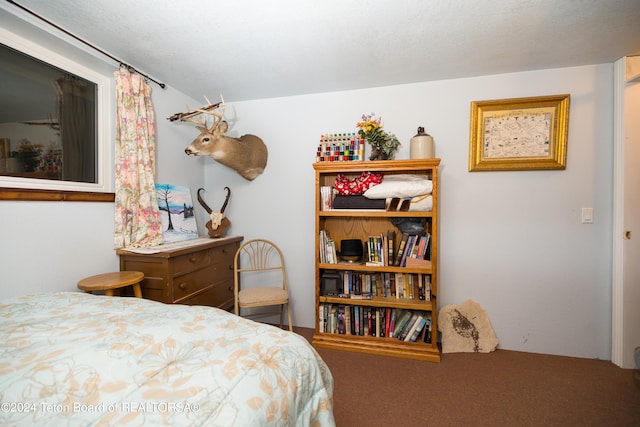 bedroom featuring carpet flooring