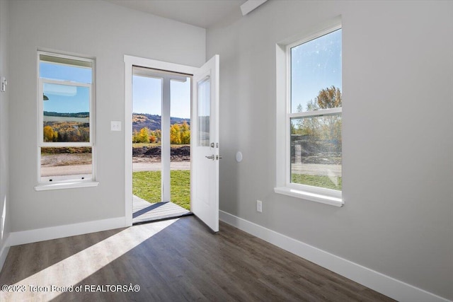 doorway featuring dark hardwood / wood-style flooring and a healthy amount of sunlight